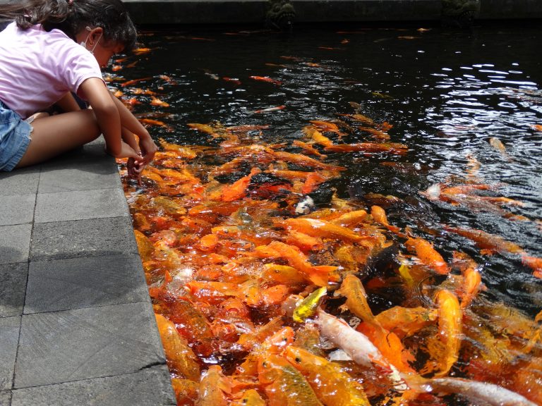 fille-poisson